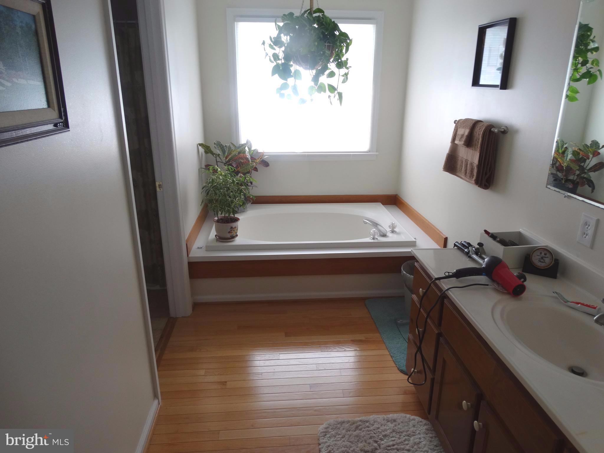 5440 Porterstown Road Keedysville, MD 21756 - Photo 11 of 20 Bath (Master)