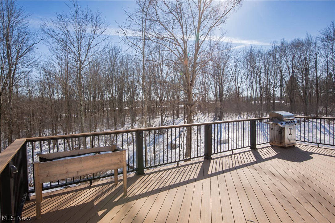 150 Seamore Road Aurora, OH 44202 - Photo 47 of 50 Snow covered deck with grilling area