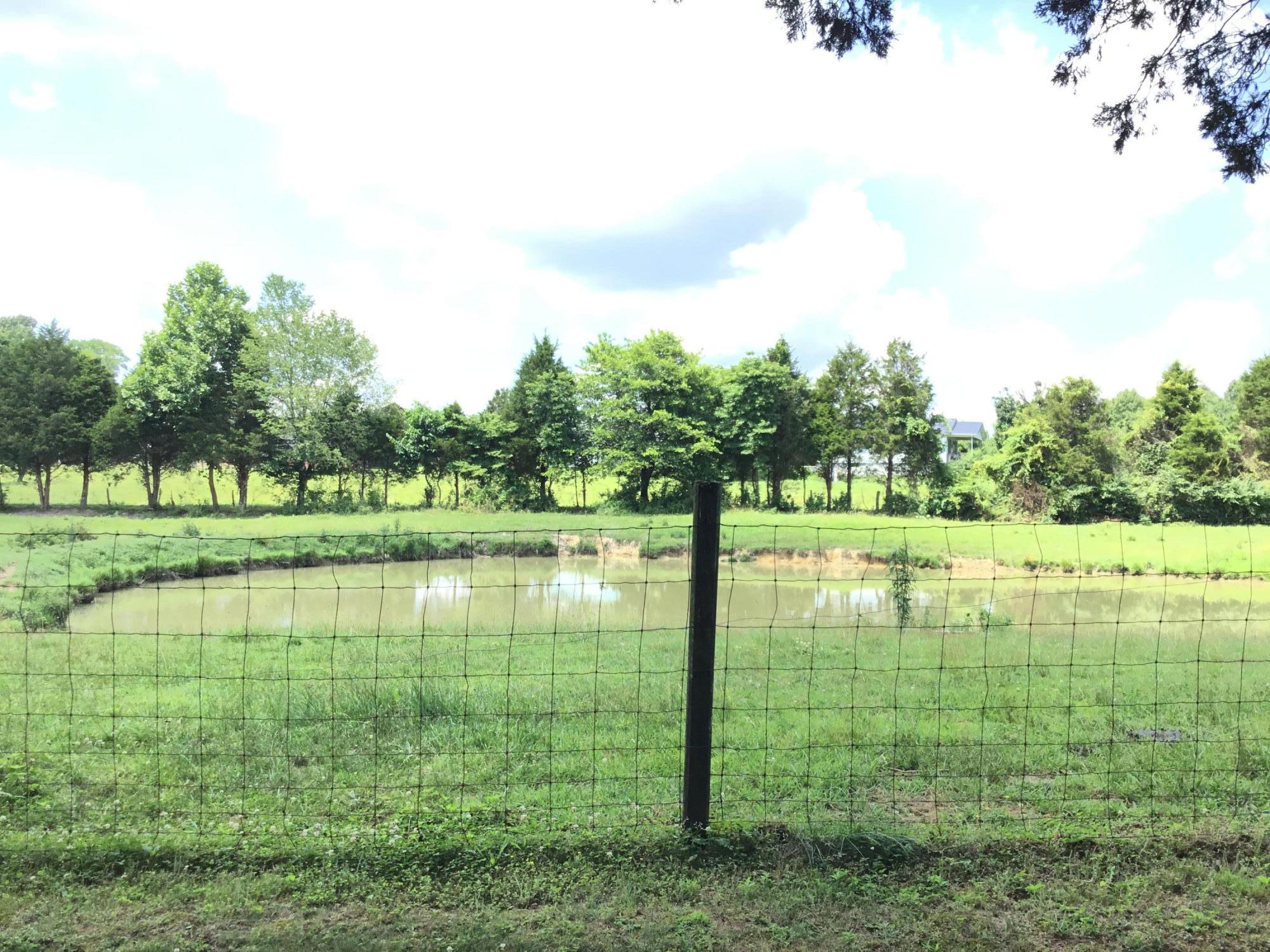 179 Wheeldon Road Science Hill, KY 42553 - Photo 25 of 32 85180AC7-613E-4DFC-8B51-43FBE1750D38<|><