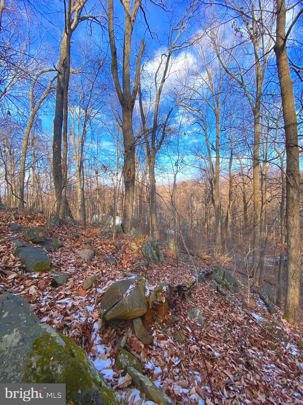 0 Hickory Tree Road Front Royal, VA 22630 - Photo 14 of 27 a view of a backyard of the house