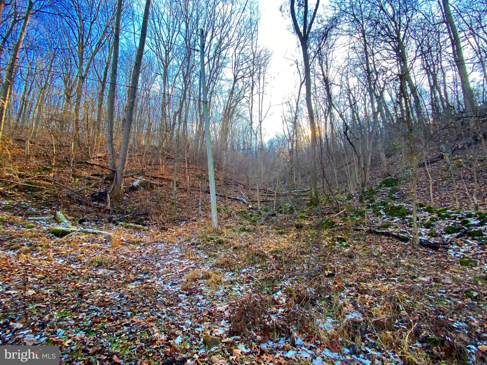 0 Hickory Tree Road Front Royal, VA 22630 - Photo 17 of 27 a view of backyard with green space