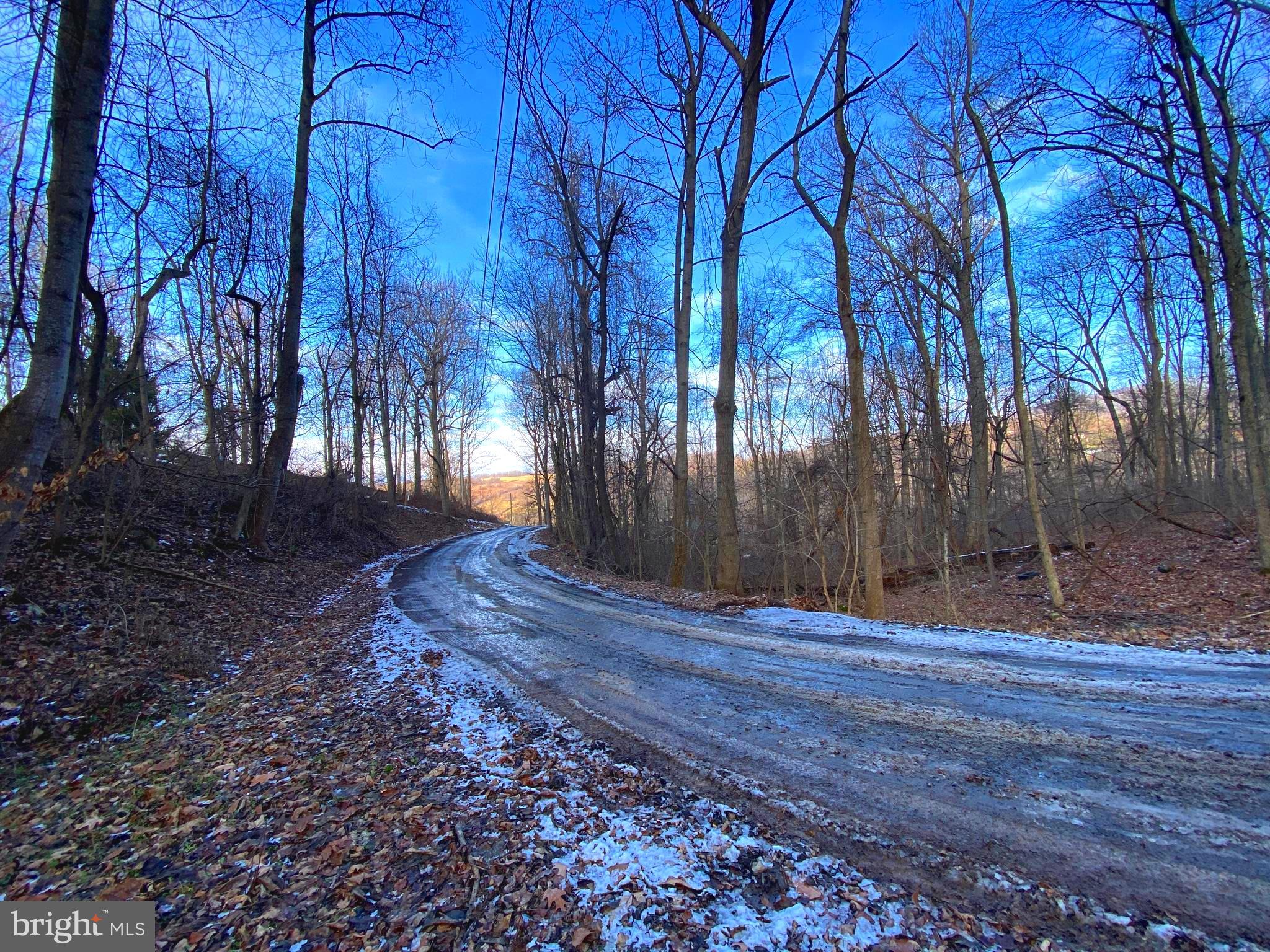 0 Hickory Tree Road Front Royal, VA 22630 - Photo 20 of 27 a view of backyard with tree