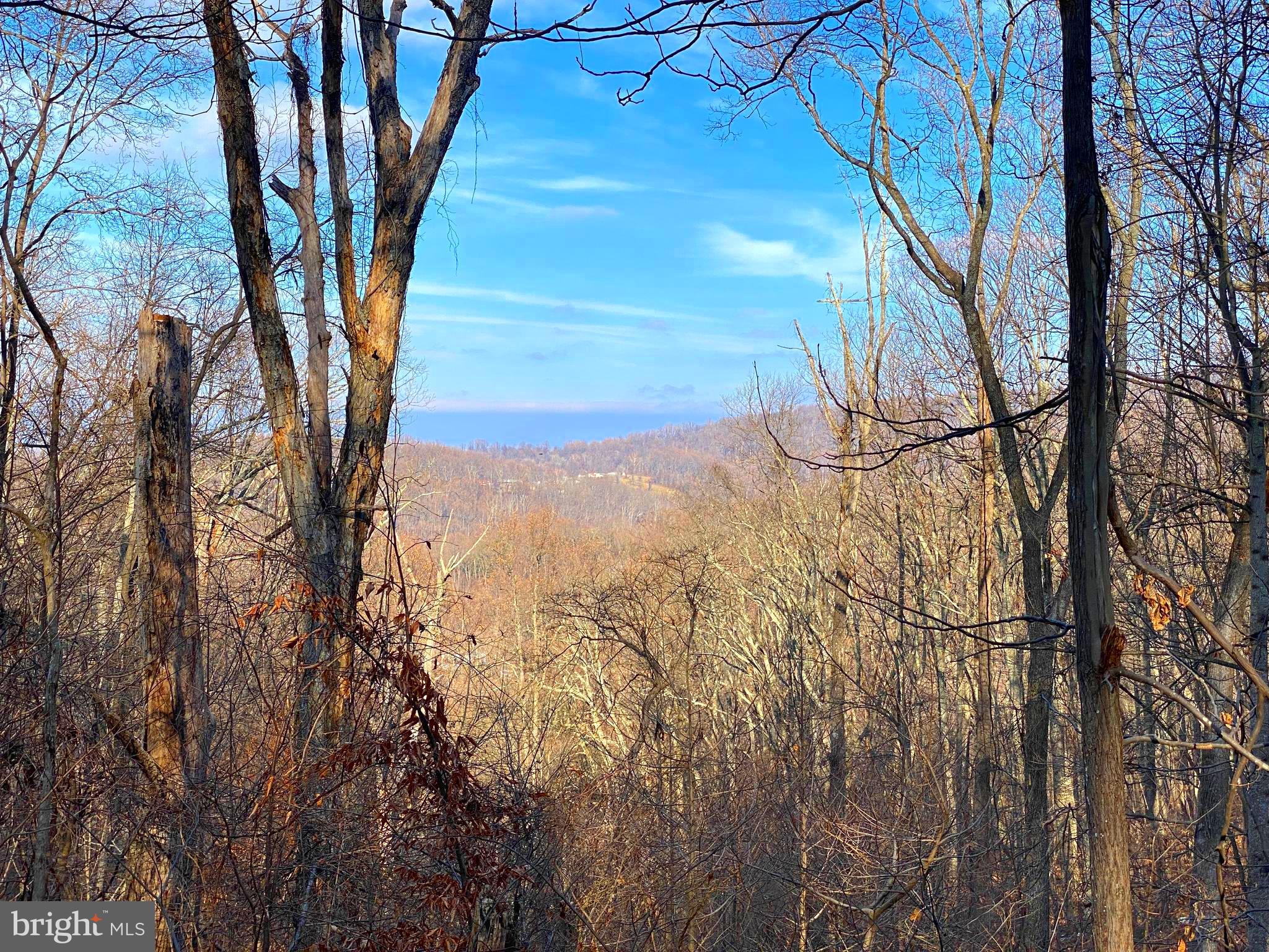 0 Hickory Tree Road Front Royal, VA 22630 - Photo 2 of 27 a view of a tree in the middle of a yard