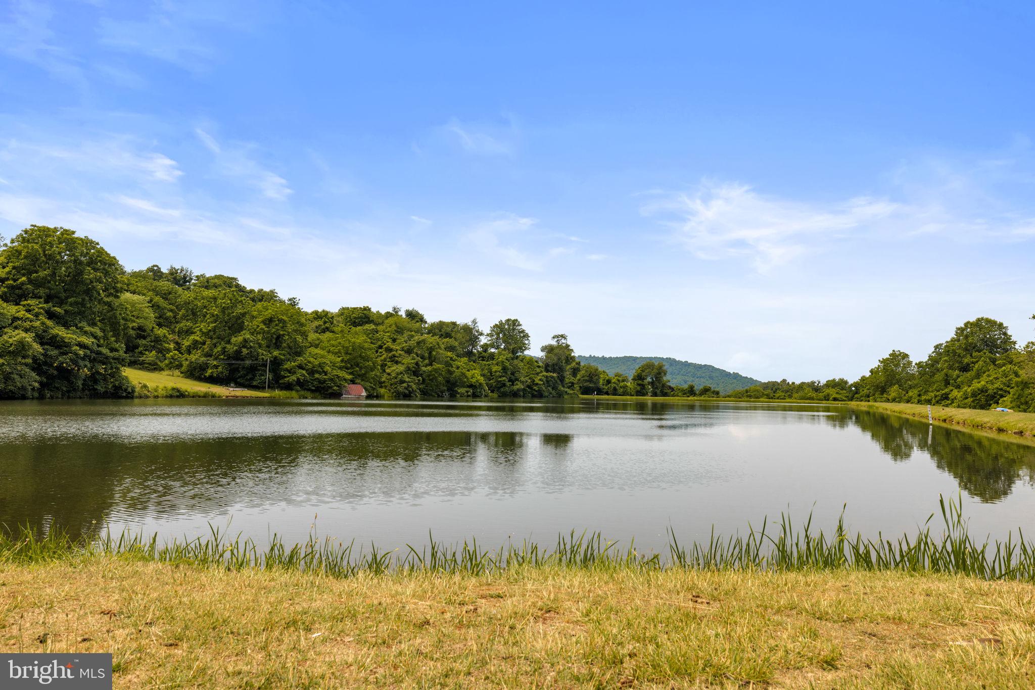 0 Hickory Tree Road Front Royal, VA 22630 - Photo 3 of 27 a view of a lake with a mountain in the back