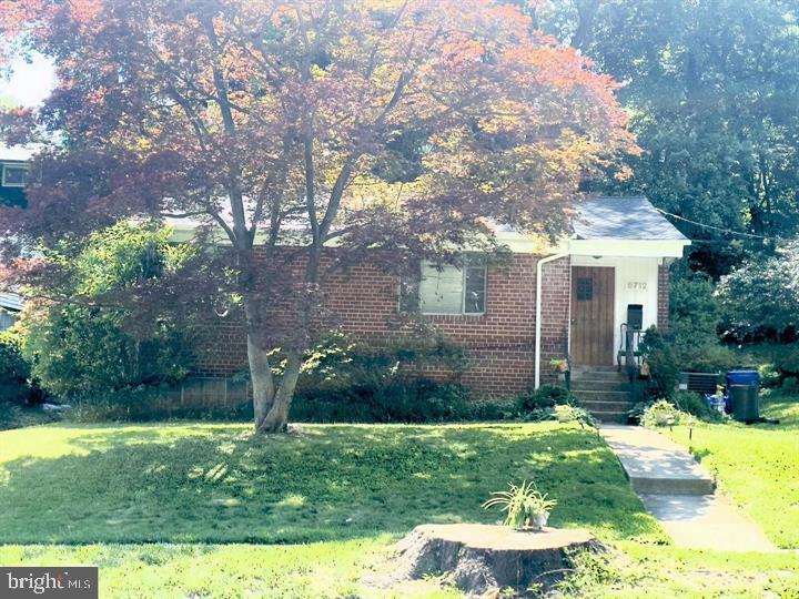 a view of a yard with a house and a large tree