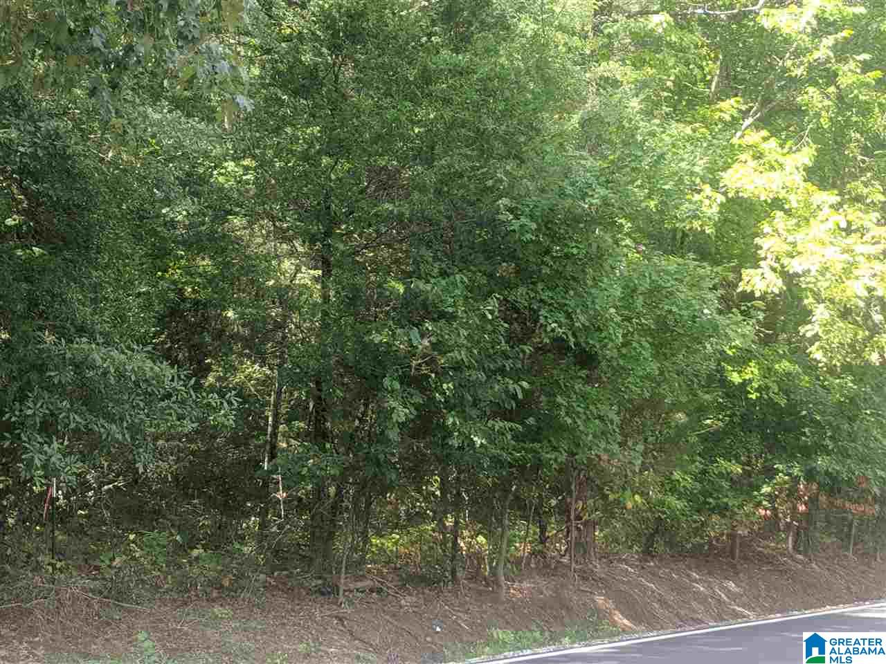 0 Old Broadwell Mill Road Jacksonville, AL 36265 - Photo 17 of 22