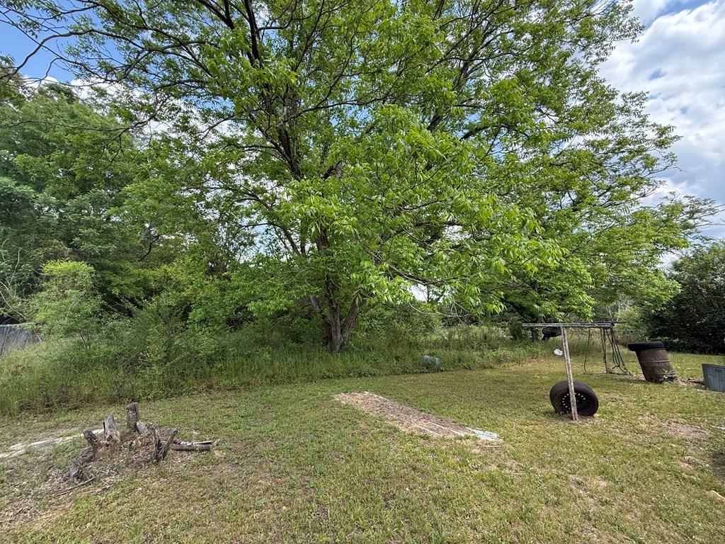 2074 County Road 40 Abbeville, AL 36310 - Photo 3 of 6
