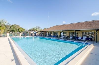 3210 Moonlight Street Wesley Chapel, FL 33543 - Photo 49 of 49 a view of swimming pool with lawn chairs and large trees