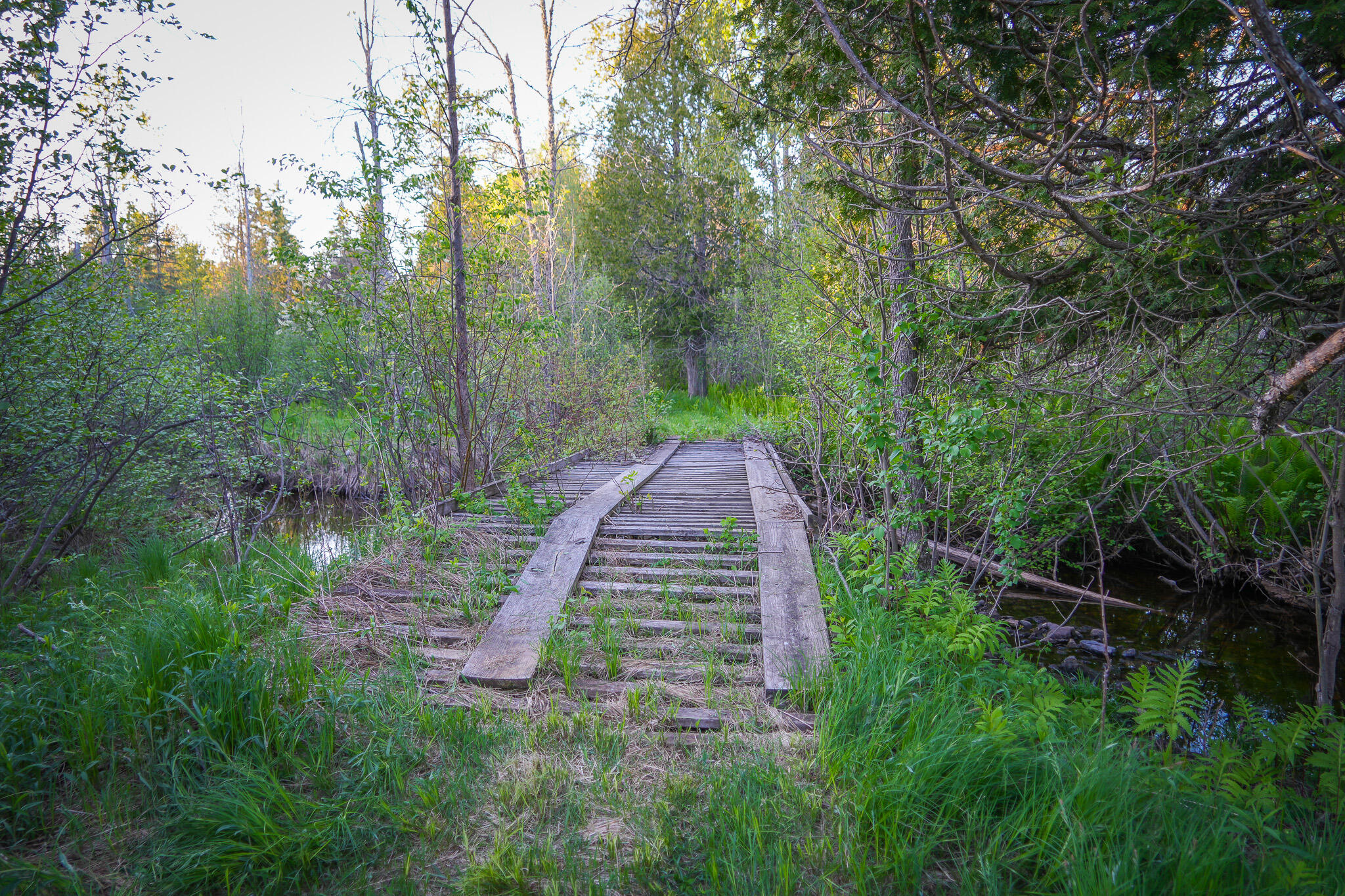 V/l V/l 33rd Road Perkins, MI 49872 - Photo 51 of 70 DSC00082