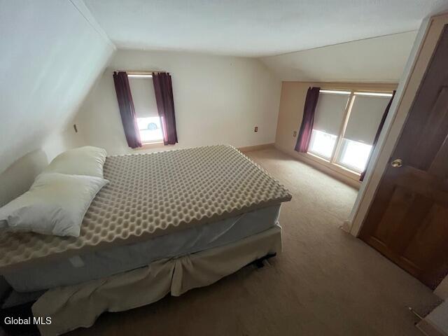 212 Haner Road Gilboa, NY 12076 - Photo 39 of 49 IMG_1609