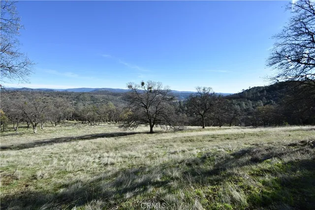 a view of dirt field with trees in background
