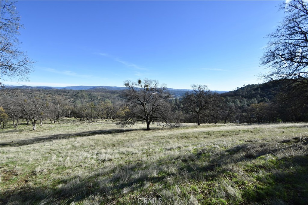 a view of dirt field with trees in background