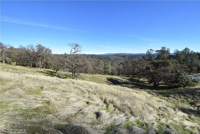 a view of a dry yard with trees