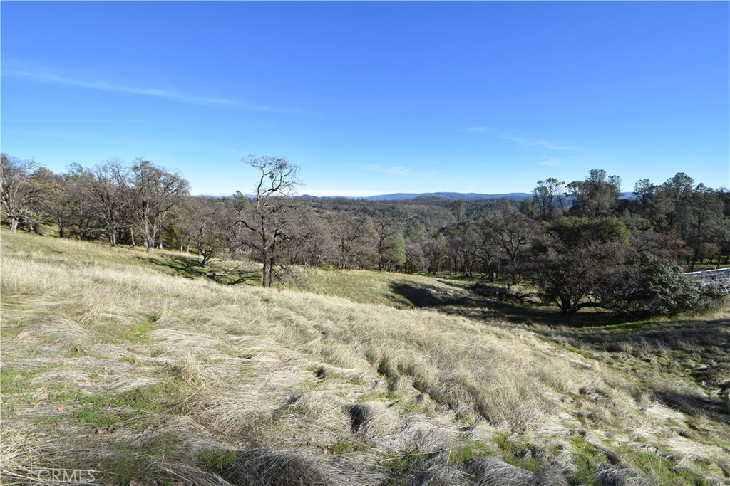 1193 Oregon Gulch Road Oroville, CA 95965 - Photo 12 of 55 a view of a dry yard with trees