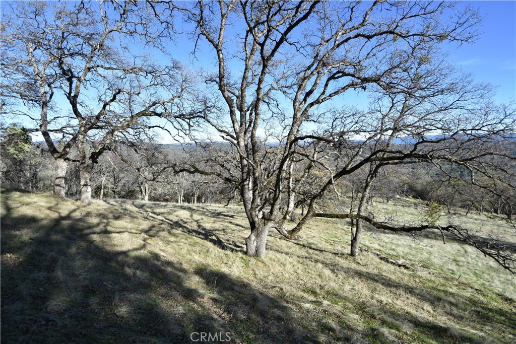 1193 Oregon Gulch Road Oroville, CA 95965 - Photo 14 of 55 a view of yard