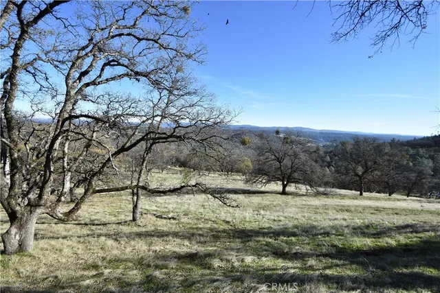 a view of outdoor space and trees
