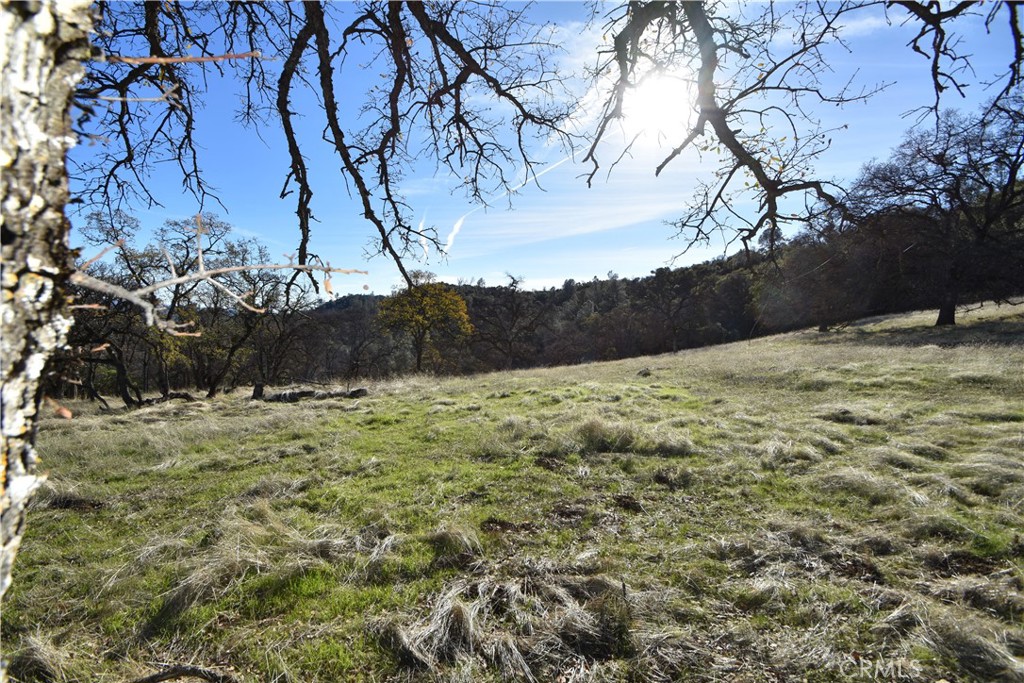 1193 Oregon Gulch Road Oroville, CA 95965 - Photo 19 of 55 a view of a yard