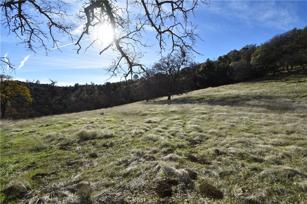 1193 Oregon Gulch Road Oroville, CA 95965 - Photo 20 of 55