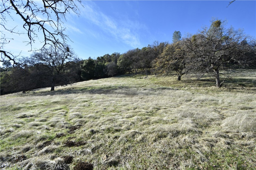 1193 Oregon Gulch Road Oroville, CA 95965 - Photo 21 of 55 a backyard of a house with large trees