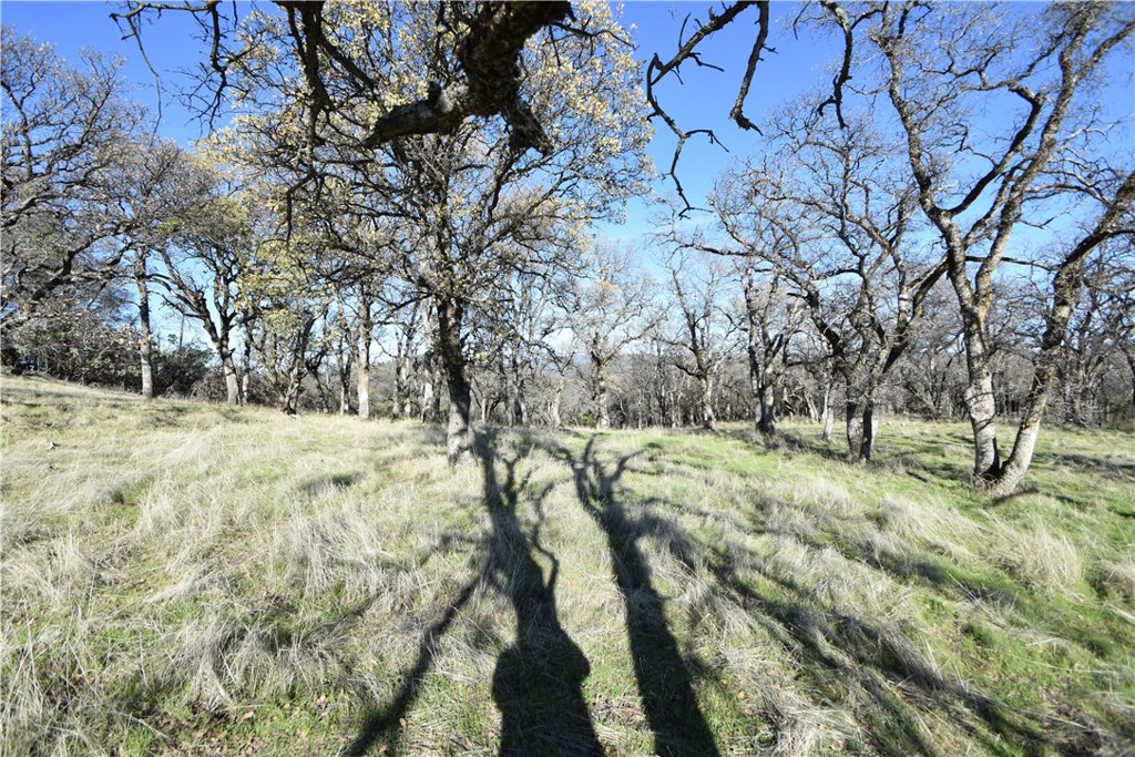 1193 Oregon Gulch Road Oroville, CA 95965 - Photo 22 of 55 a view of yard covered with snow