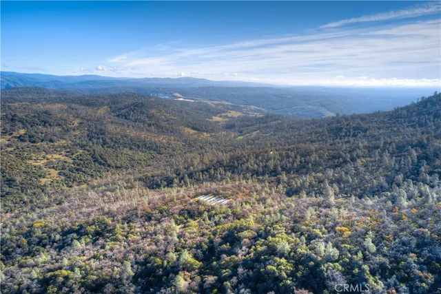 a view of backyard with tree