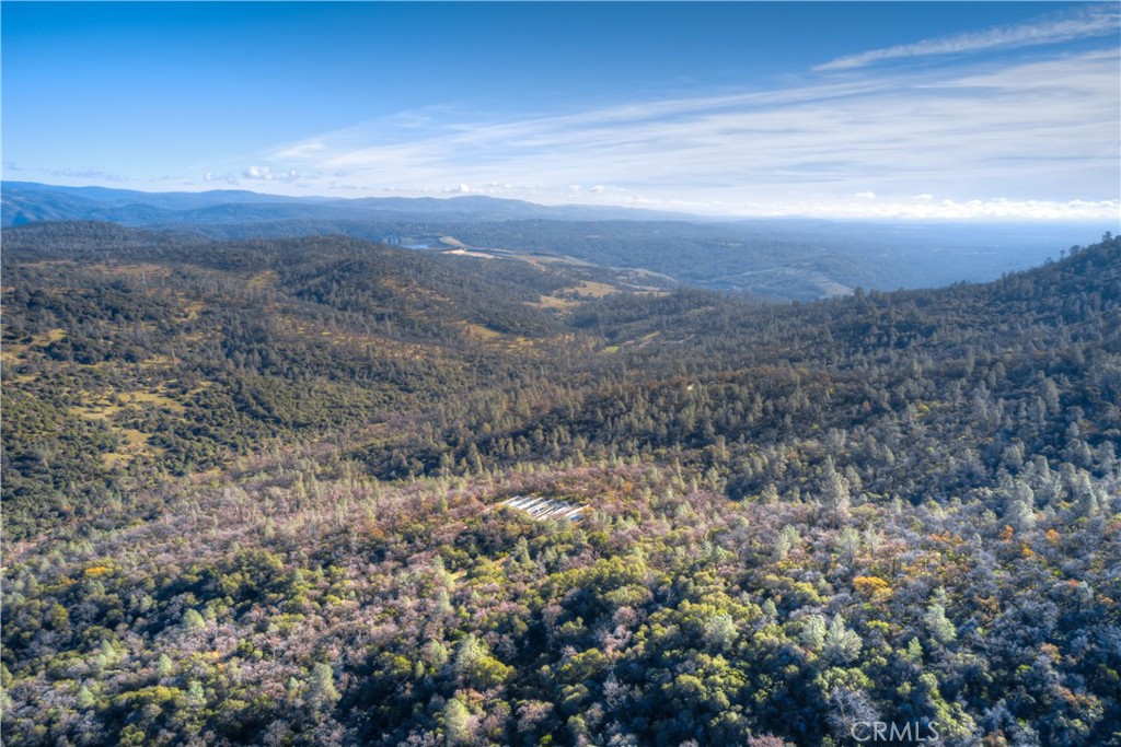 1193 Oregon Gulch Road Oroville, CA 95965 - Photo 23 of 55 a view of a big yard with lots of bushes