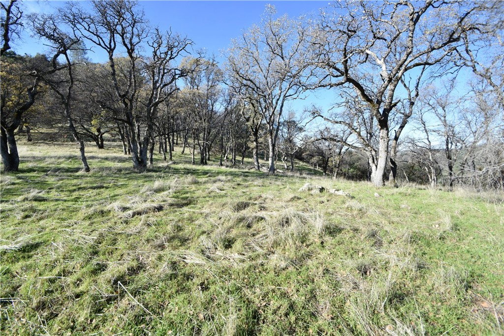 1193 Oregon Gulch Road Oroville, CA 95965 - Photo 27 of 55 a fire hydrant in the middle of a field