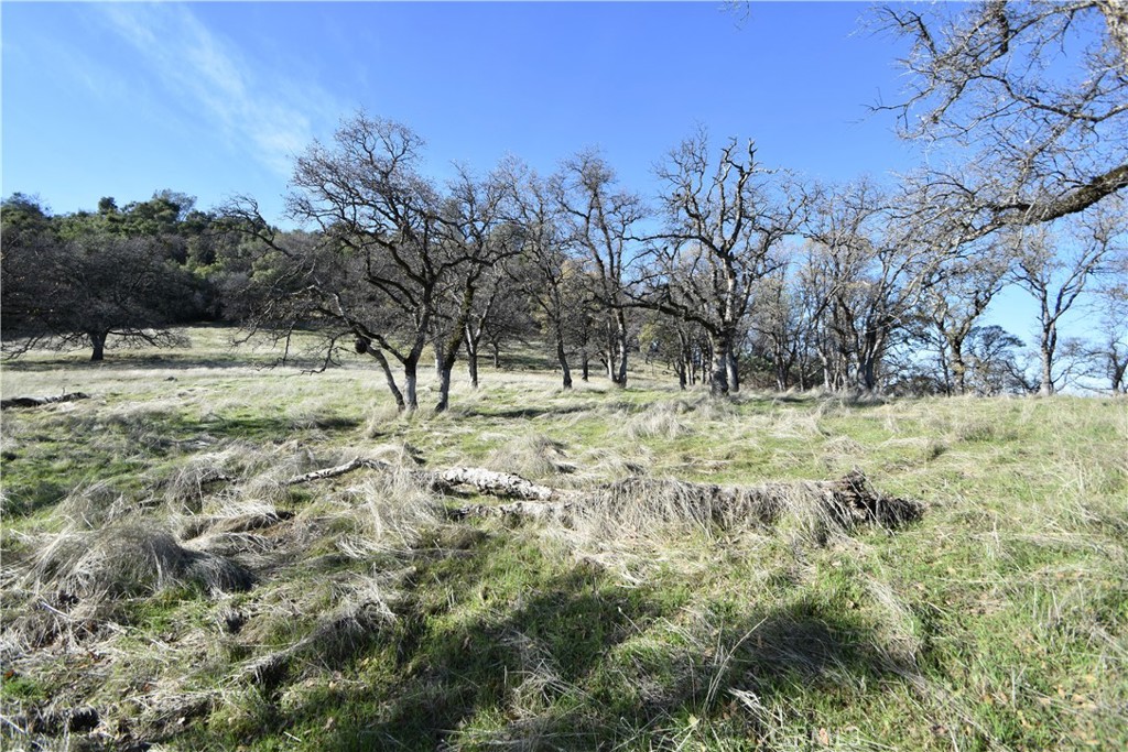 1193 Oregon Gulch Road Oroville, CA 95965 - Photo 28 of 55