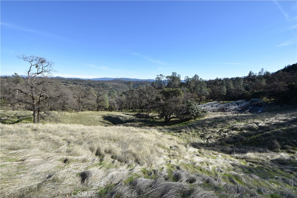 1193 Oregon Gulch Road Oroville, CA 95965 - Photo 3 of 55 a view of a dry yard with trees in the background
