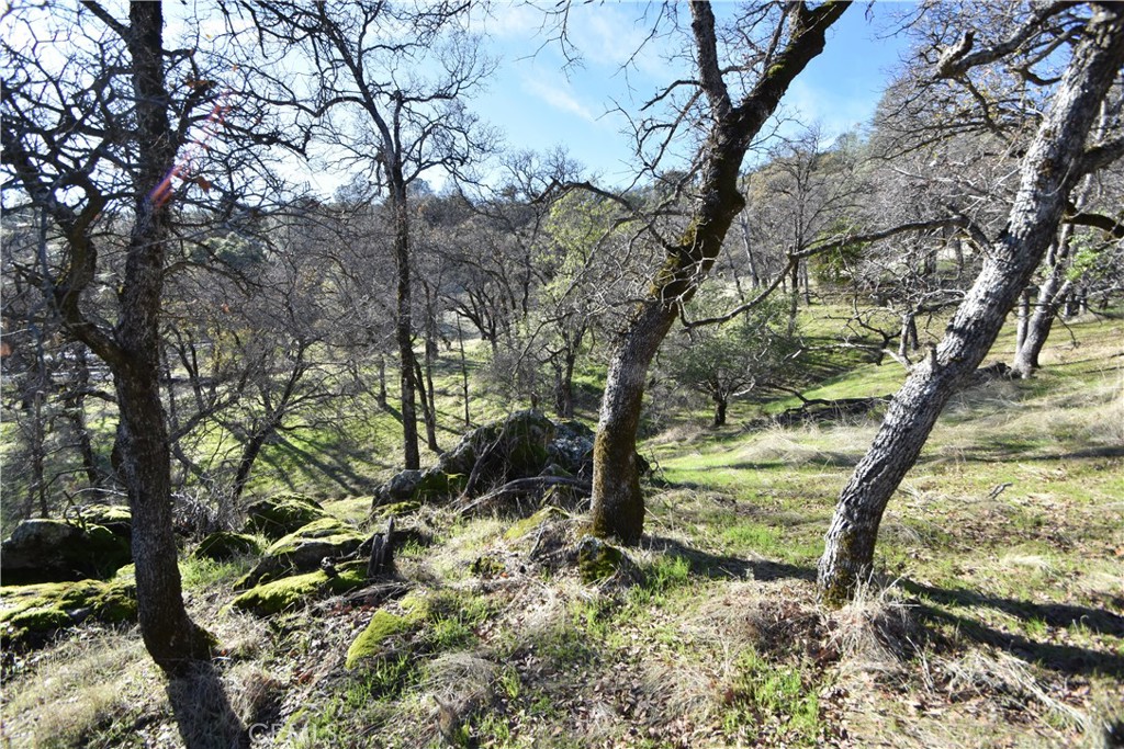 1193 Oregon Gulch Road Oroville, CA 95965 - Photo 39 of 55 a backyard of a house with lots of green space