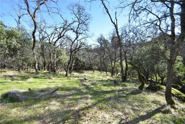 a view of yard with green space