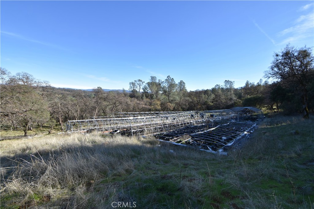 1193 Oregon Gulch Road Oroville, CA 95965 - Photo 4 of 55 a view of outdoor space and yard
