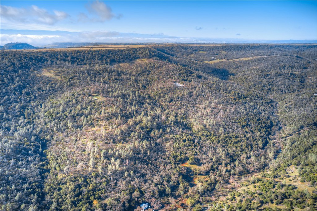 1193 Oregon Gulch Road Oroville, CA 95965 - Photo 41 of 55