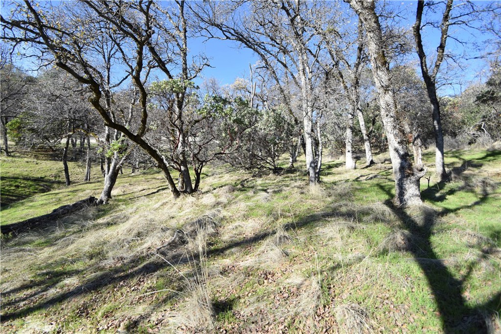 1193 Oregon Gulch Road Oroville, CA 95965 - Photo 42 of 55 a view of yard
