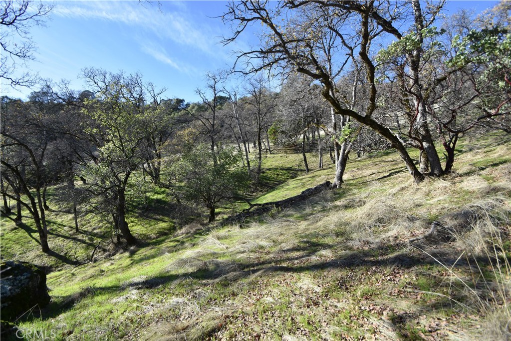 1193 Oregon Gulch Road Oroville, CA 95965 - Photo 43 of 55 a view of backyard of green space