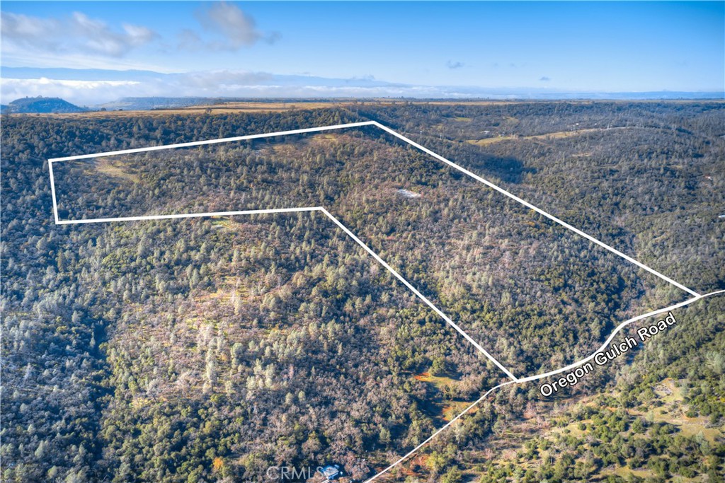 1193 Oregon Gulch Road Oroville, CA 95965 - Photo 44 of 55 a view of wooden floor