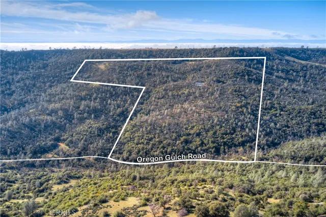 a view of a pathway both side of building