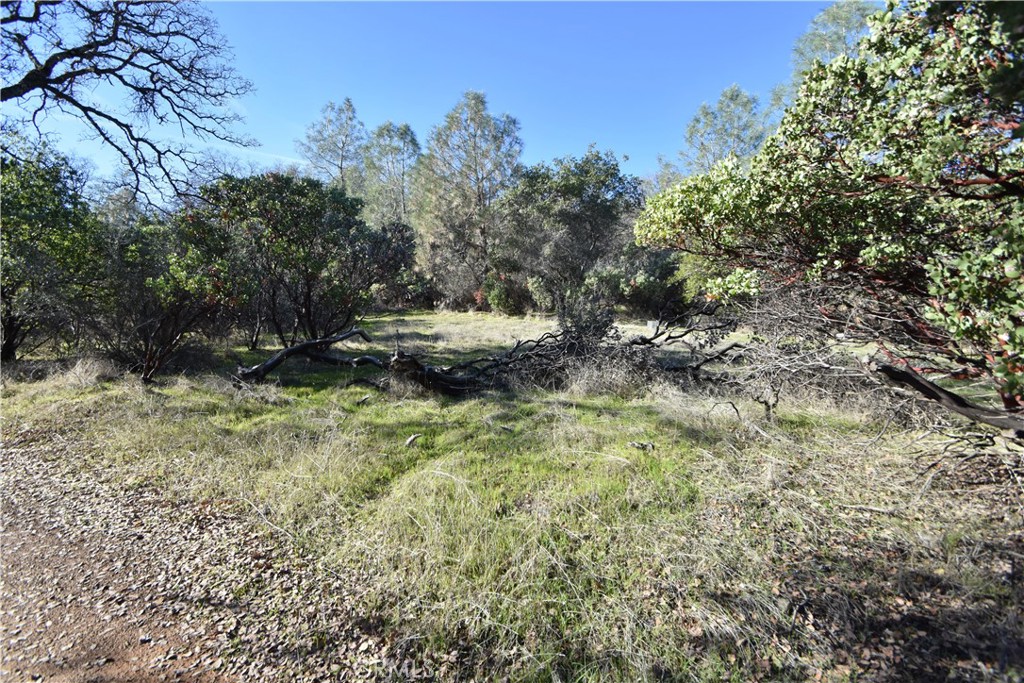 1193 Oregon Gulch Road Oroville, CA 95965 - Photo 48 of 55 a view of swimming pool with a yard