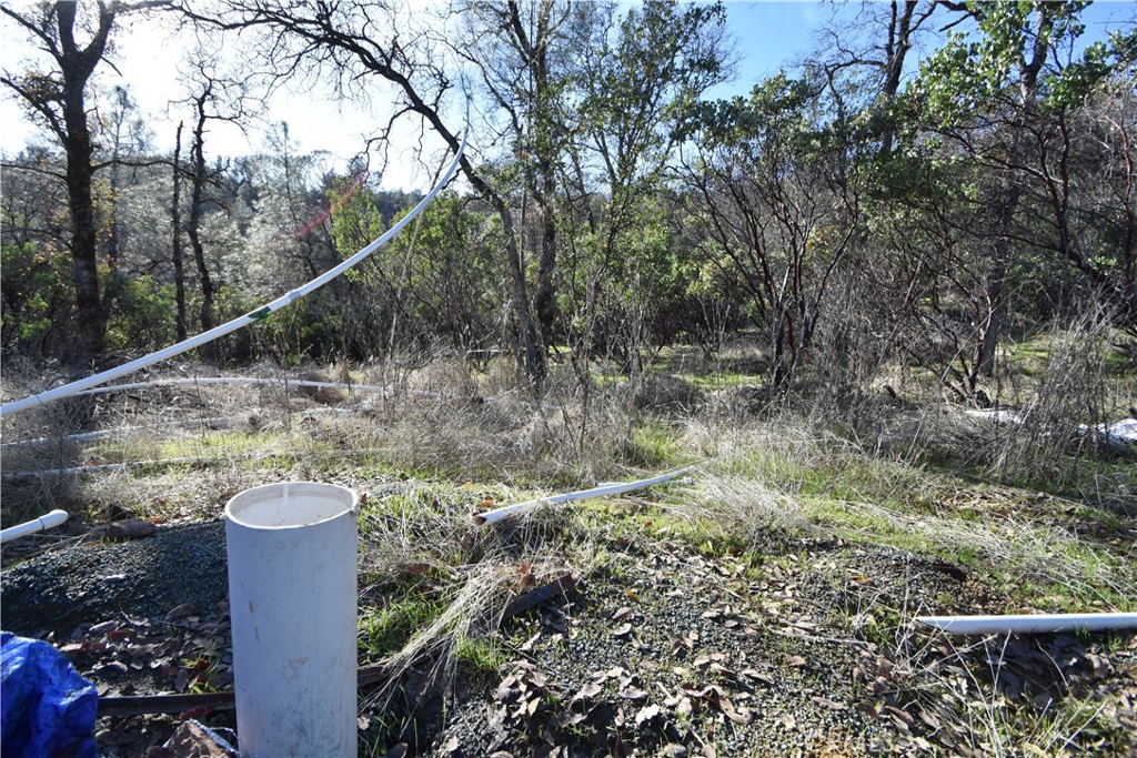 1193 Oregon Gulch Road Oroville, CA 95965 - Photo 52 of 55 a view of a water fountain with water view