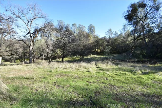$250,000 | 1193 Oregon Gulch Road, Oroville, CA 95965