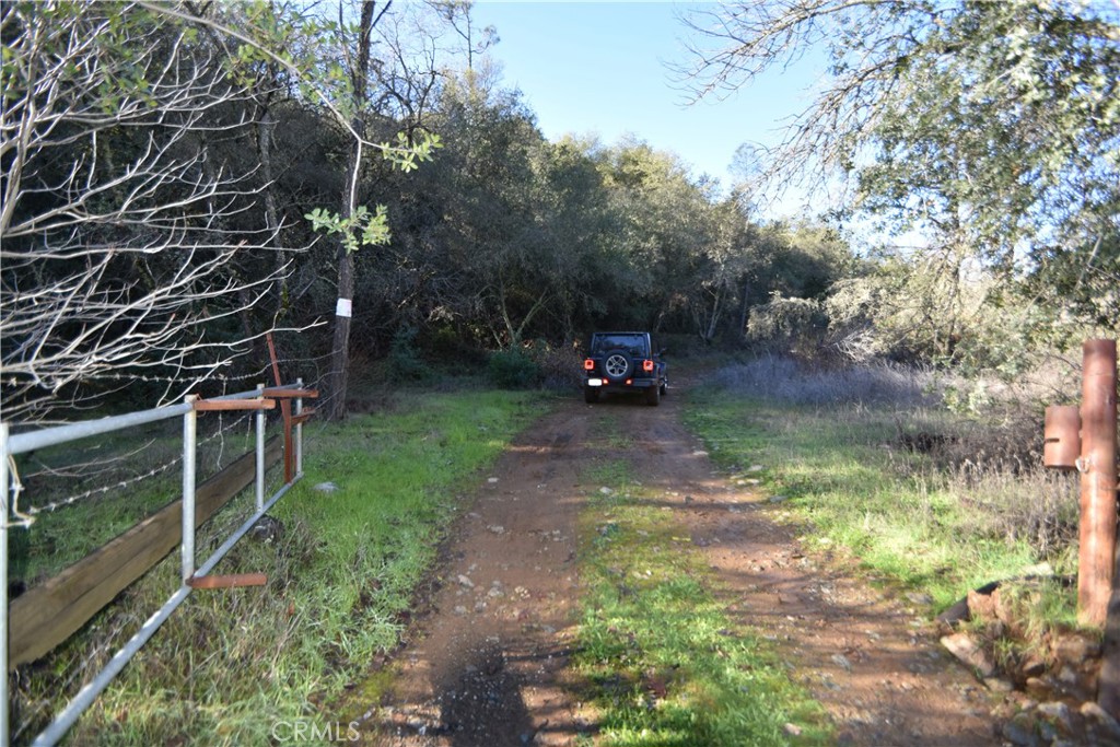1193 Oregon Gulch Road Oroville, CA 95965 - Photo 55 of 55 a backyard of a house with lots of green space