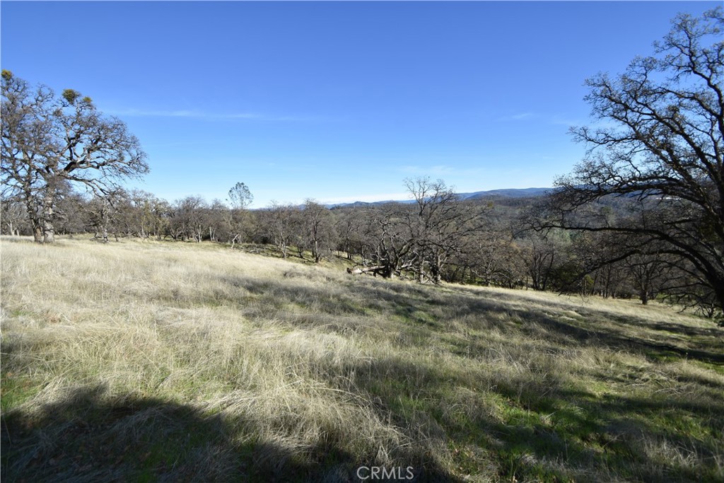 1193 Oregon Gulch Road Oroville, CA 95965 - Photo 8 of 55 a view of a dry yard with trees and stairs