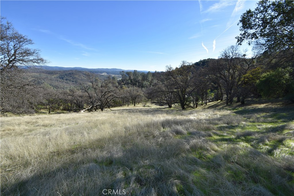 1193 Oregon Gulch Road Oroville, CA 95965 - Photo 9 of 55 a view of outdoor space and mountain view