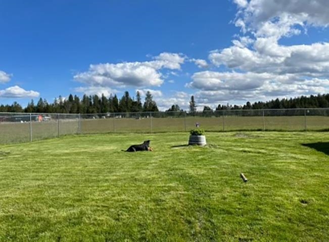 34817 North Elk Chattaroy Road Elk, WA 99009 - Photo 3 of 50 Gallery Image 3