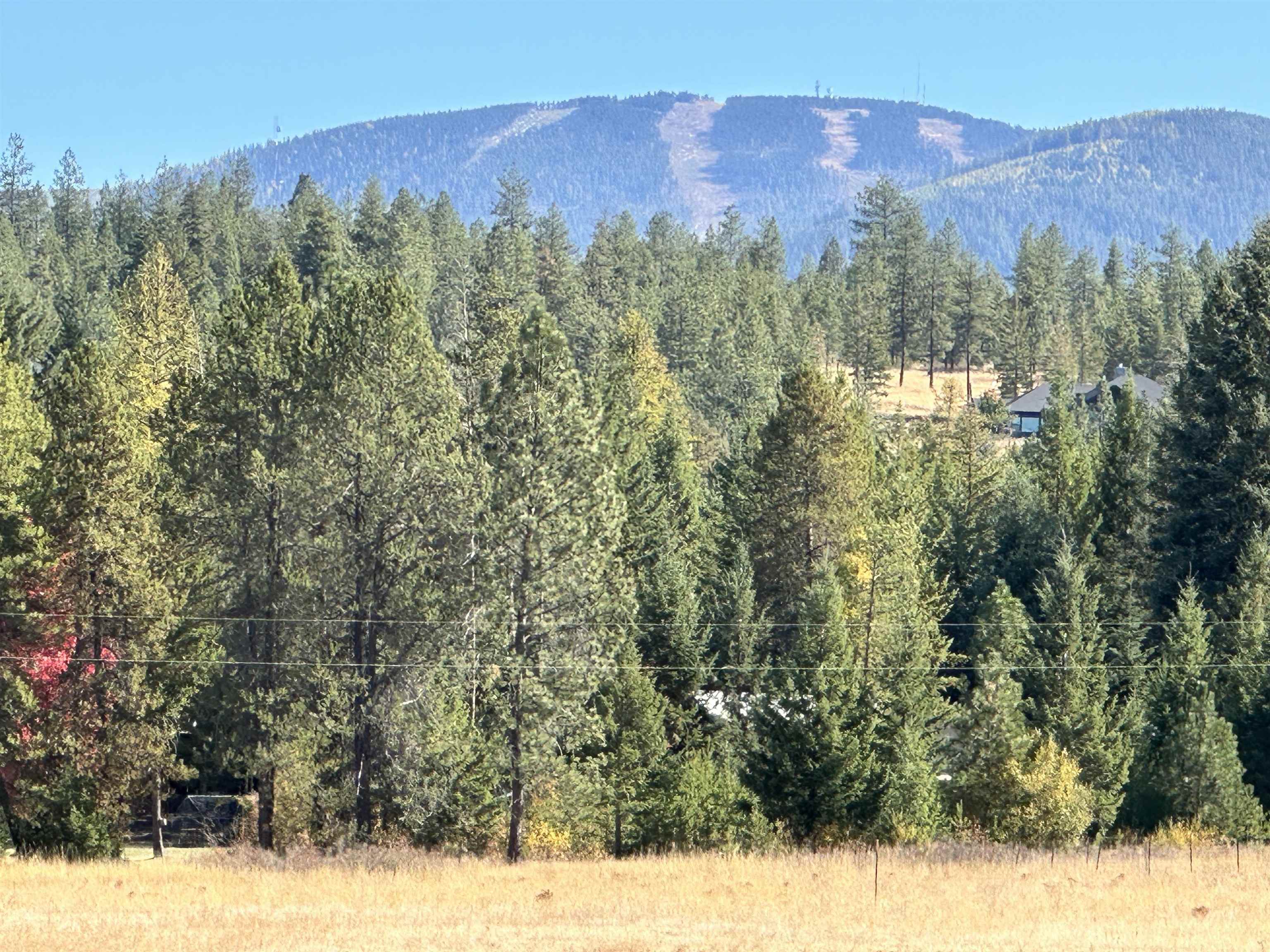 34817 North Elk Chattaroy Road Elk, WA 99009 - Photo 42 of 50 Gallery Image 42