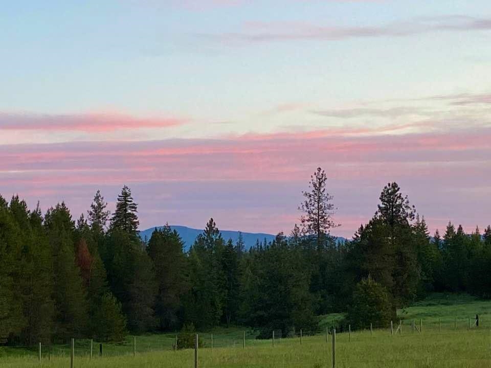 34817 North Elk Chattaroy Road Elk, WA 99009 - Photo 44 of 50 Gallery Image 44