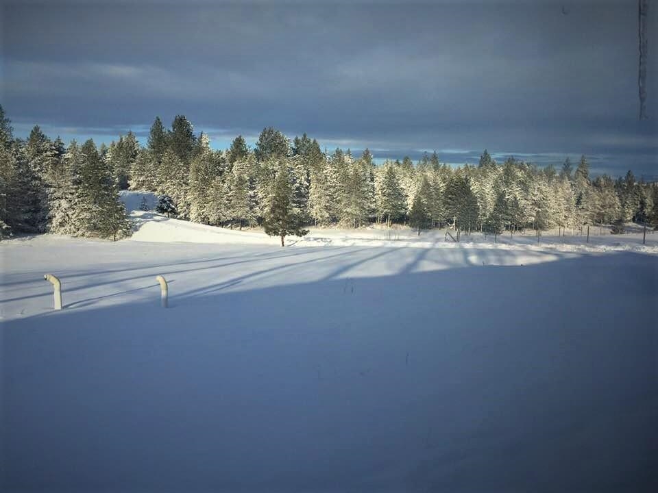 34817 North Elk Chattaroy Road Elk, WA 99009 - Photo 47 of 50 Gallery Image 47