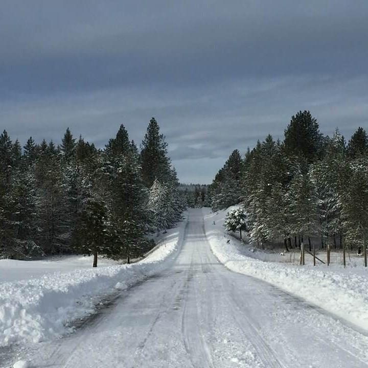 34817 North Elk Chattaroy Road Elk, WA 99009 - Photo 49 of 50 Gallery Image 49