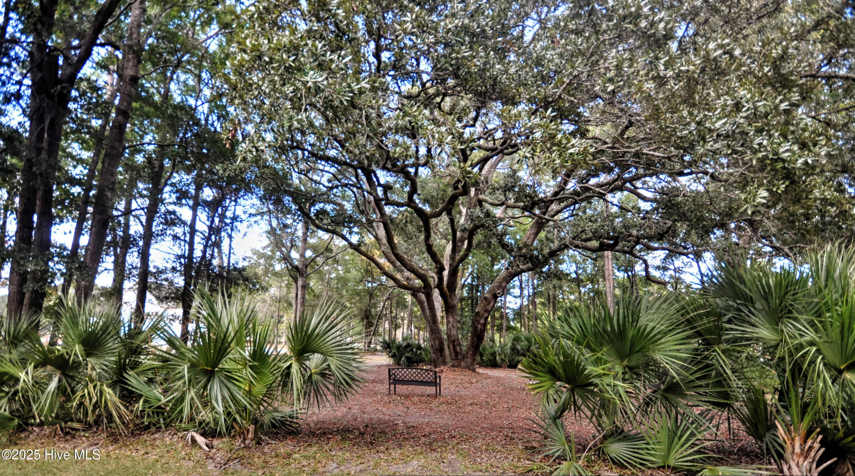 9265 West Lake Road Calabash, NC 28467 - Photo 69 of 132 Old Tree
