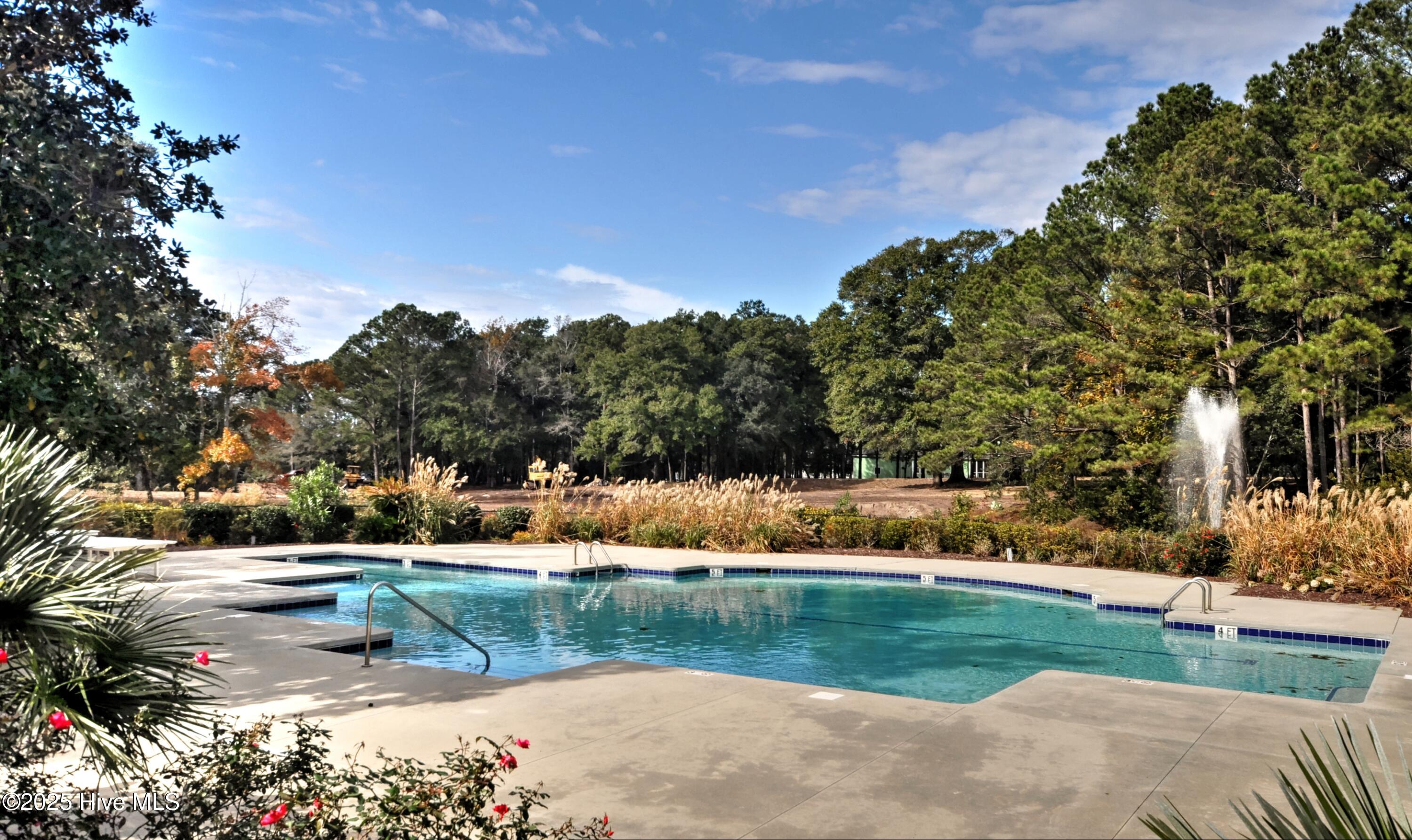 9265 West Lake Road Calabash, NC 28467 - Photo 71 of 132 Pool
